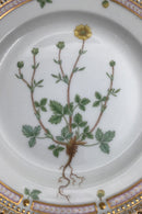 Royal Copenhagen Flora Danica Salat Tallerken No. 20 / 3573