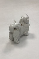 Augarten Wien Blanc de Chine figur af Japan Chin pekineser