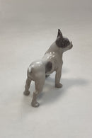 Royal Copenhagen Figur Boston Terrier No. 1457