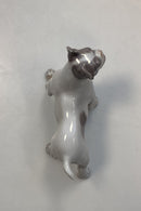 Royal Copenhagen Figur Boston Terrier No. 1457