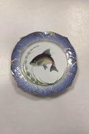 Royal Copenhagen Blåt Fiskestel Tallerken No. 19/3002