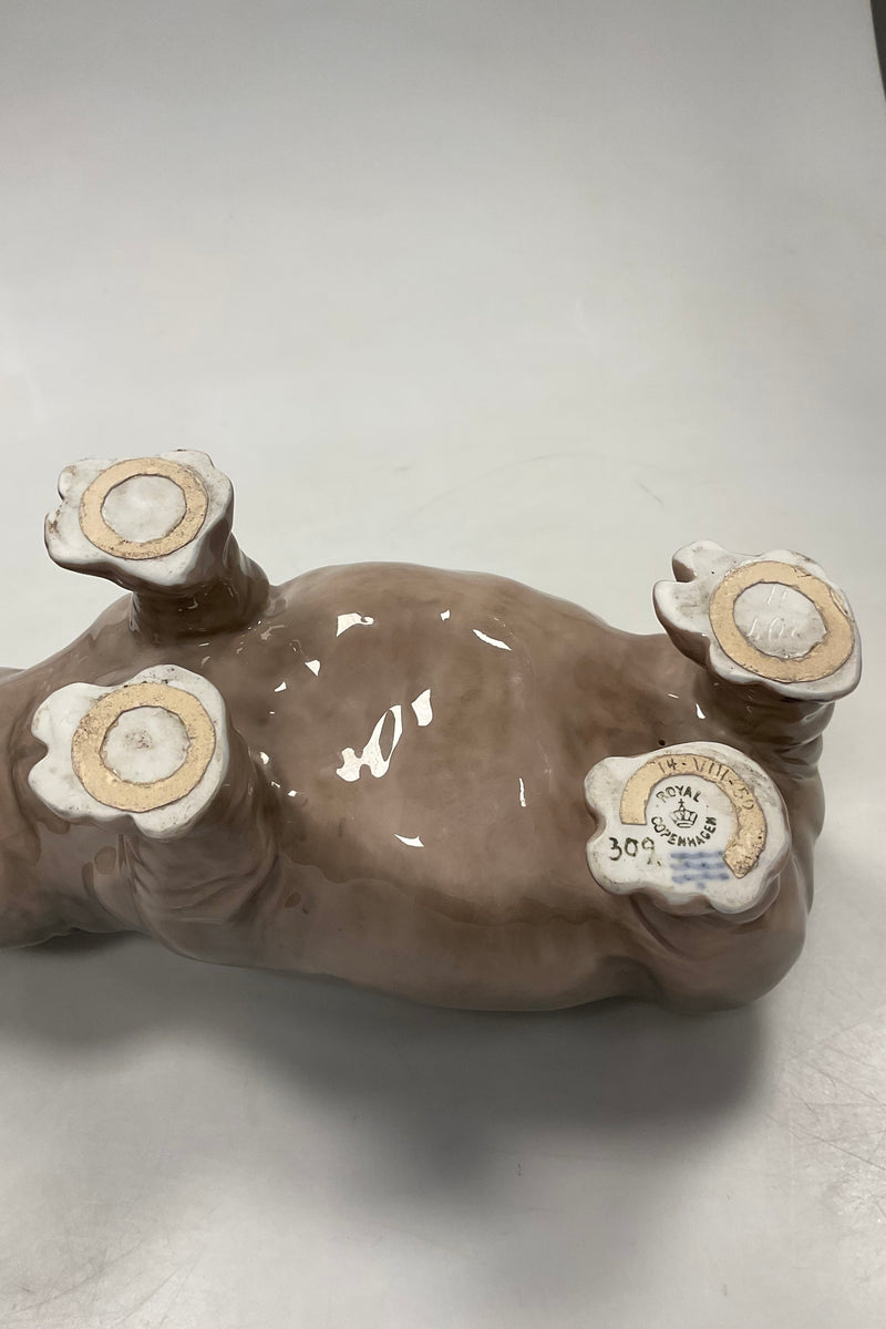 Royal Copenhagen Figur af Flodhest No 309