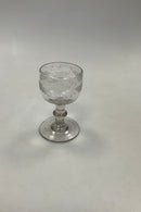 Tidligt Vinglas med graveringer