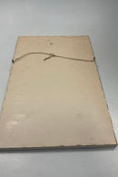 Original Flora Danica Print with silver frame no. 100