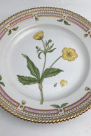 Royal Copenhagen Flora Danica Salat Tallerken No. 20 / 3573