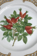 Royal Copenhagen Flora Danica Frugttallerken No. 429/3554.