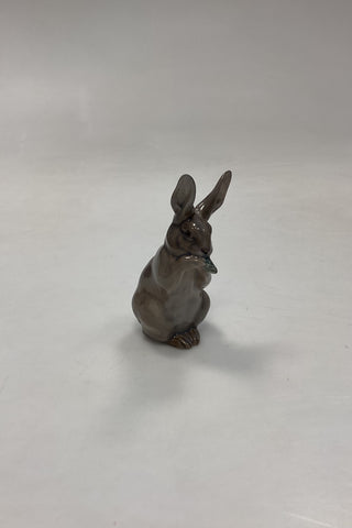 Royal Copenhagen Figur af Kanin No. 1019