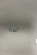 Royal Copenhagen Art Nouveau Stel No. 225 Pelargonie Terrin  No. 2038 / 2040