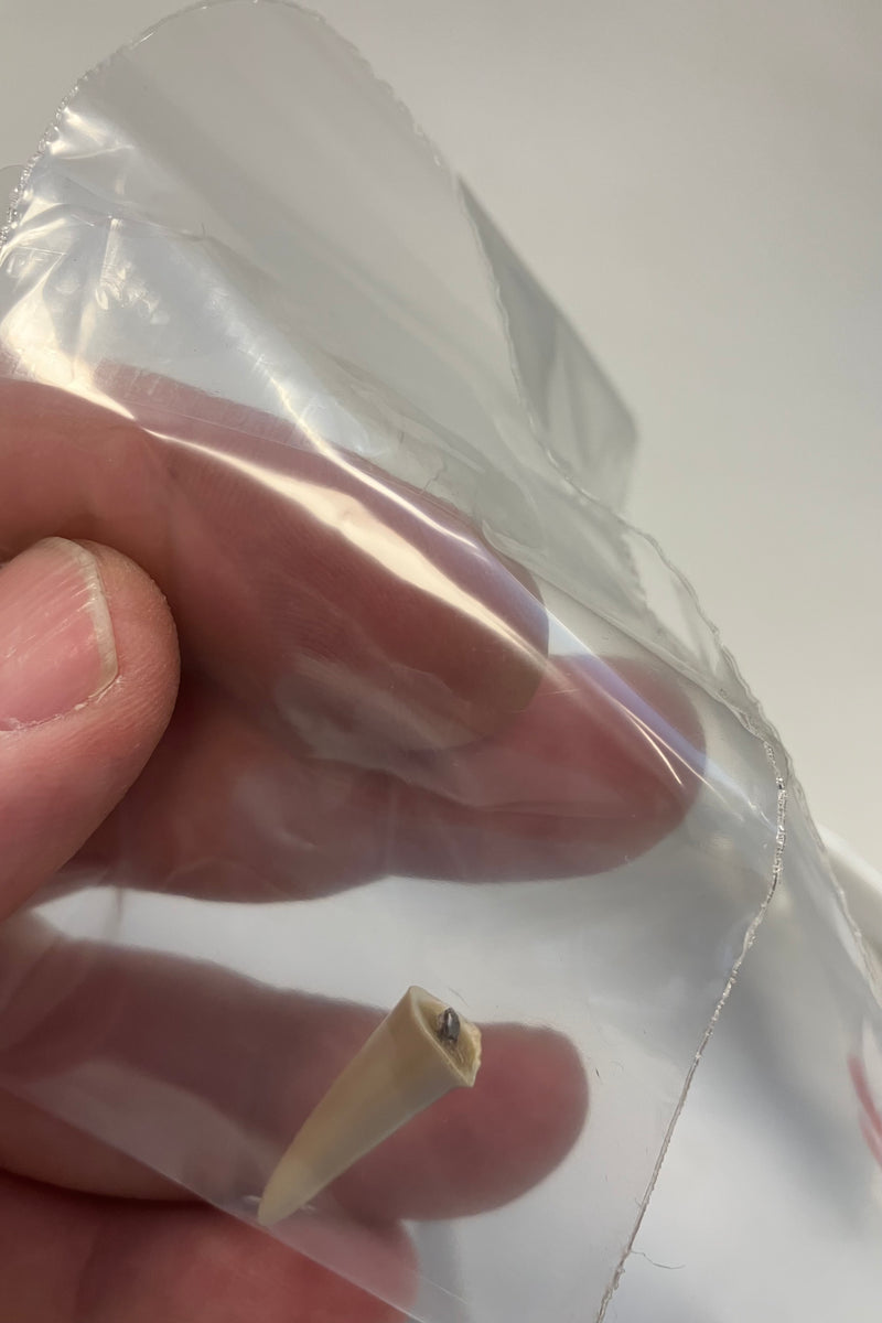 Royal Copenhagen Art Nouveau Bowl with Heron No. 1846