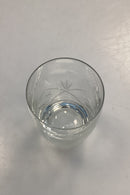 Holmegaard Ulla Vandglas - Buet form