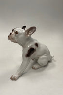 Bing og Grøndahl Figur Fransk Bulldog No. 2000
