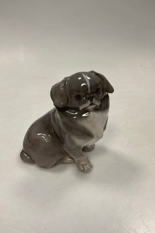 Royal Copenhagen Figur Pekingeser hvalp No. 1860