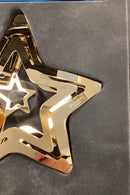 Georg Jensen Juleuro 2021 - Stjerneskud