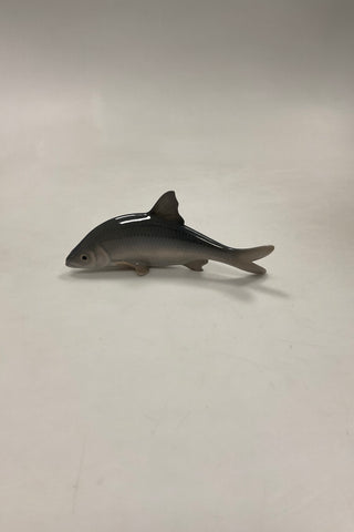 Royal Copenhagen Figur af Fisk Skalle No. 2494