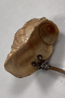 Ornamental Dekorations ske i sølv 1832 med Sneglehus