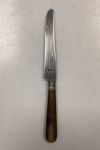 Tilquin-Anvers Rustfri Spisekniv - 25 cm