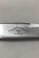Raadvad Rustfri Spisekniv - 25,4 cm