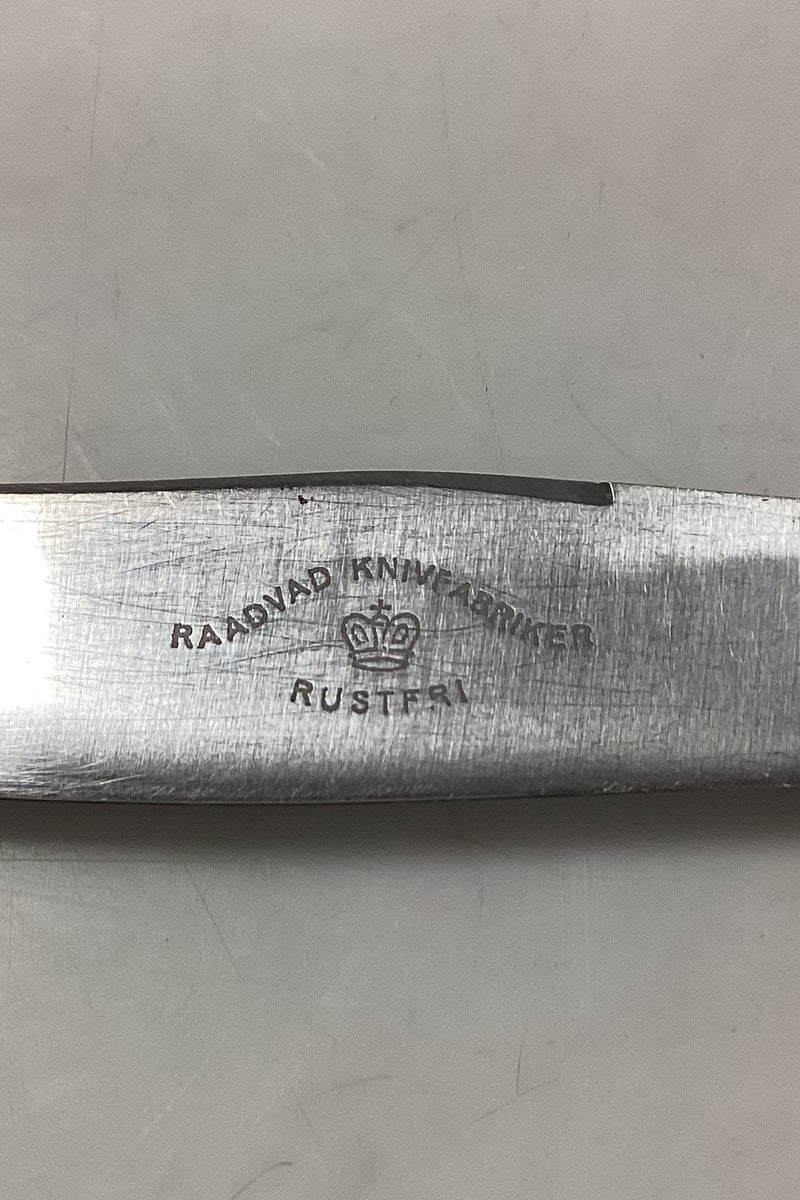 Raadvad Rustfri Spisekniv - 25,4 cm