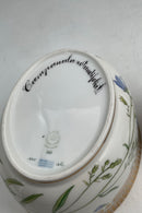 Royal Copenhagen Flora Danica Stor Sukkerskål / Lille Lågterrin No. 20/3582 nyt nummer 160/161
