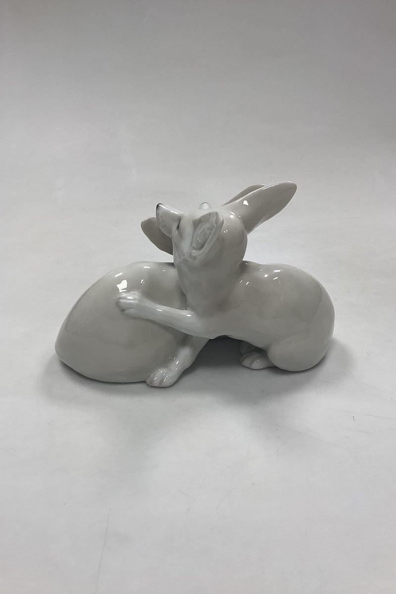 Royal Copenhagen Figur - Ørkenræve Par No. 319
