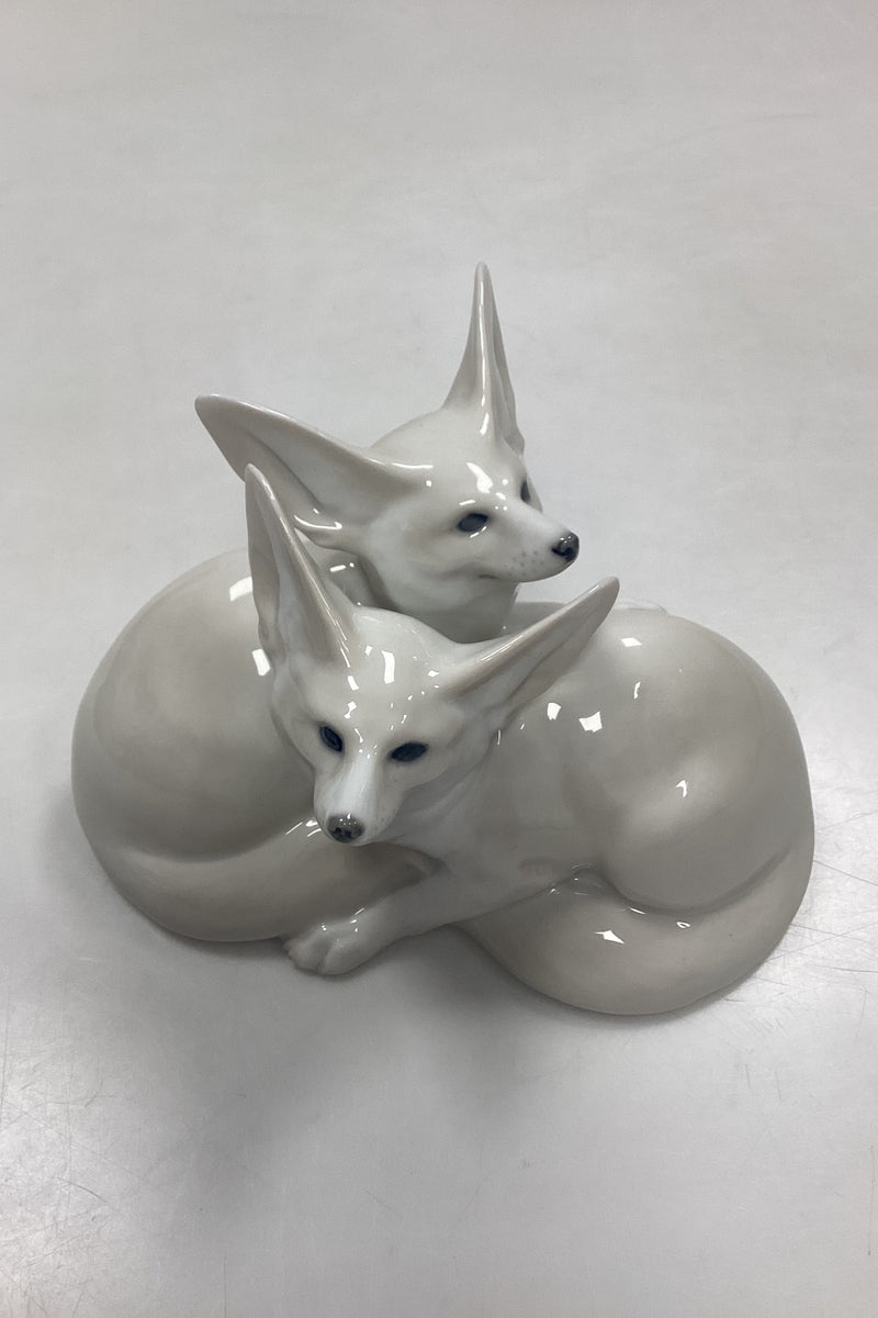 Royal Copenhagen Figur - Ørkenræve Par No. 319