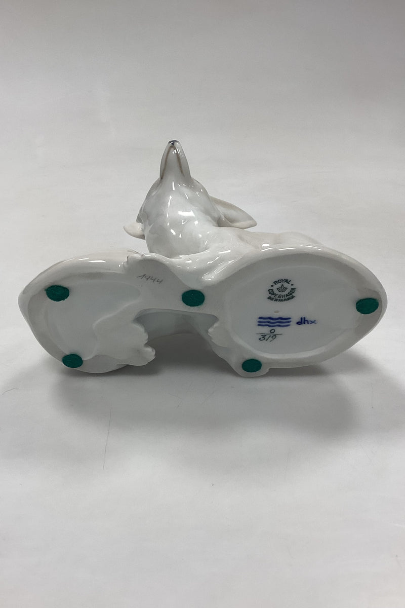 Royal Copenhagen Figur - Ørkenræve Par No. 319