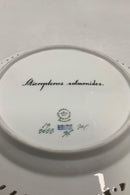 Sæt på 11 Royal Copenhagen Flora Danica Fisketallerkener No 3553 - Danam Antik