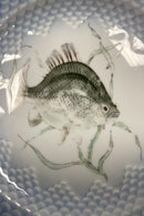 Bing og Grøndahl Blå Tone Fisketallerken Motiv 7 Karudse No. 716 - SKÅRET/SLIDT