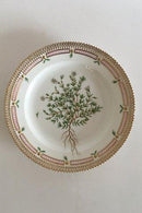 Königlich Kopenhagen Porcelæn Flora Danica Mittagsteller Nr. 3550