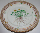 Royal Copenhagen Flora Danica Plate No 3552