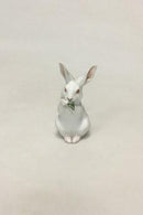 皇家哥本哈根的兔子图&