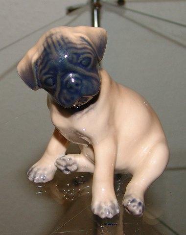 Royal Copenhagen Figurine Pug Puppy No. 3169