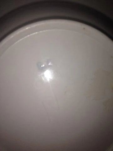 罕见的Bing和Grondahl新艺术风格深盘，来自Hejre Set 1886-1889。