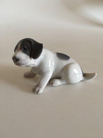 Royal Copenhagen Figur Pointer Hvalp No. 1311 før 1923
