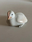 皇家哥本哈根的鸡图&