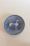 トーベ・スヴェンセン オリジナルドッグプレート デンマークショートヘアードチワワ、ショートヘアードチワワ、スムースチワワ