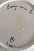 Royal Copenhagen Flora Danica Speiseteller Nr. 3549