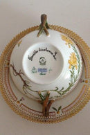 Royal Copenhagen Flora Danica Bouillon cup with saucer No 3612