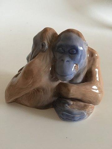 Royal Copenhagen Figur par orangutanger i Sjælden farve No 721