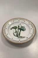 Royal Copenhagen Privat gemalt Flora Danica Essteller Nr 3549