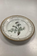 Royal Copenhagen Privat gemalt Flora Danica Essteller Nr 3549