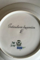 Royal Copenhagen Flora Danica Dyb tallerken No 735/3545