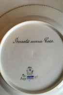 皇家哥本哈根Flora Danica餐盘 No 735/3549