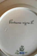 Royal Copenhagen Flora Danica Spisetallerken No 735/3549