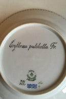 Royal Copenhagen Flora Danica Cake Plate No 735/3551