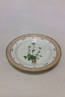 Royal Copenhagen Flora Danica Dinner Plate No 624(3549).