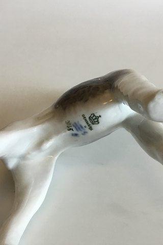 Royal  Copenhagen Figurine of Wirehaired Terrier No 3165