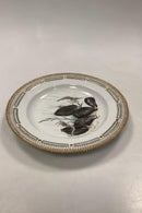 Royal Copenhagen Privat gemalt Flora Danica Fisch Teller Nr 3549