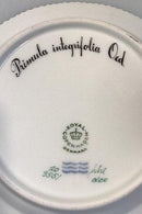 Royal Copenhagen Flora Danica Dessertteller Nr. 20/3551