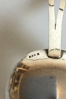 银色糖匙与2朵雏菊